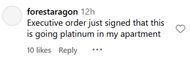 Fans react to Sleigh Bells' new album announcement (Image via Instagram/ @forestaragon)